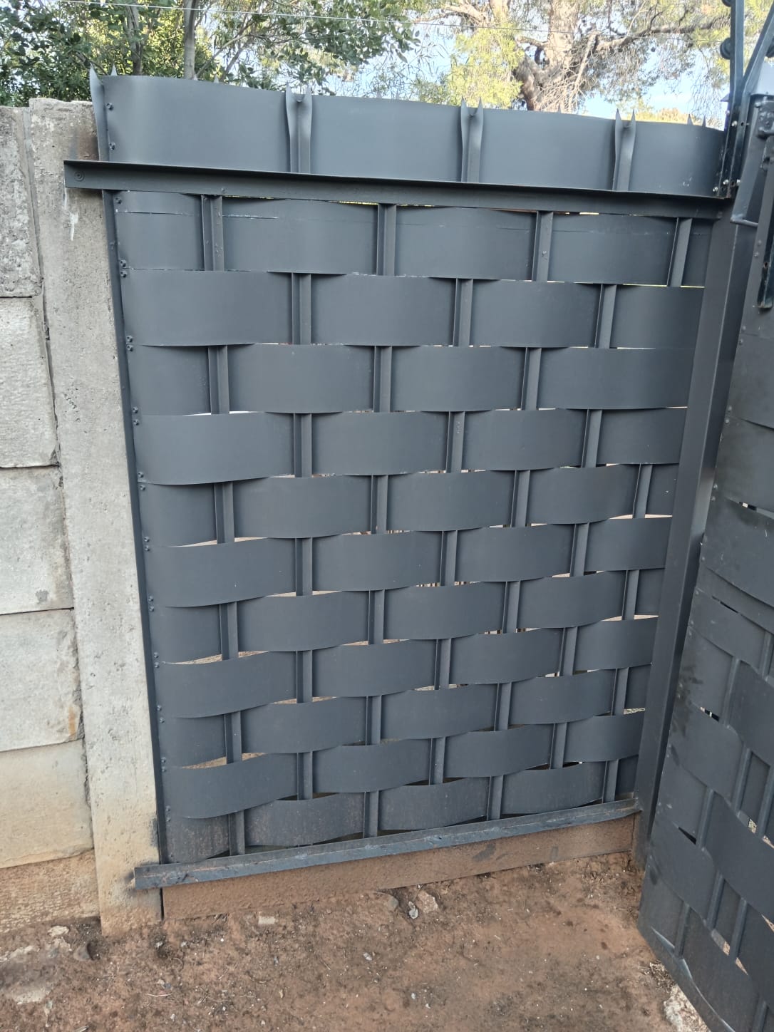 F.M Palisade Weaving (6)